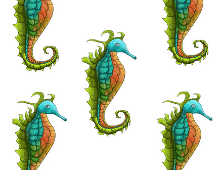 >Seahorse - Bocas Del Toro, Panamá